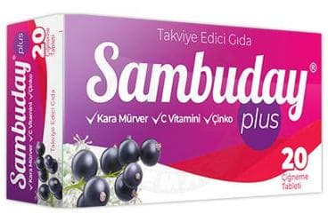 SAMBUDAY PLUS KARA MURVER, C VITAMINI VE CINKO ICEREN GIDA TAKVIYESI 20 tablet İlaç Görseli