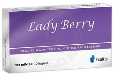 LADY BERRY TURNA YEMISI, ADACAYI VE VITAMIN C ICEREN TAKVIYE EDICI GIDA 30 kapsül İlaç Görseli