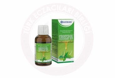 GROSSPAN BAL & MENTOL AROMALI BITKISEL EKSTRELER ICEREN SIVI TAKVIYE EDICI GIDA 100 ml şişe İlaç Görseli