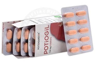 POTIOGARDEN POTIOGIL TAKVIYE EDICI GIDA TABLET 60 tablet İlaç Görseli