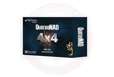 REFERANS NUTRA QUATRONAD 4X4 TAKVIYE EDICI GIDA DILALTI TABLET 30 tablet İlaç Görseli