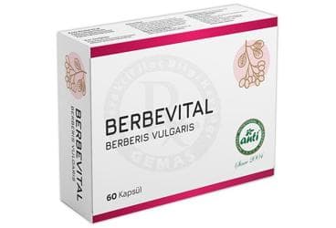 BERBEVITAL BERBERIS VULGARIS ICEREN TAKVIYE EDICI GIDA KAPSUL 60 kapsül İlaç Görseli