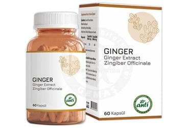 ANTI GINGER ICEREN TAKVIYE EDICI GIDA 60 kapsül İlaç Görseli