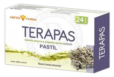 TERAPAS NANE LIMON PASTIL 24 tablet İlaç Görseli