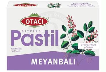 OTACI MEYANBALI PASTIL 16 pastil İlaç Görseli