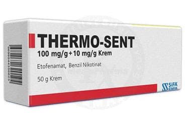 THERMO-SENT 100 MG/G + 10 MG/G KREM (50 G) İlaç Görseli