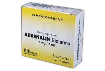 ADRENALIN BIOFARMA  1 MG 10 AMPUL İlaç Görseli