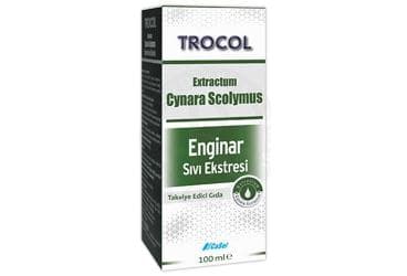 TROCOL ENGINAR SIVI EKSTRESI TAKVIYE EDICI GIDA 100 ml şişe İlaç Görseli