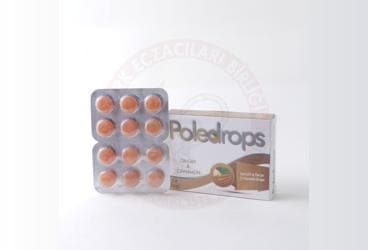 POLEDROPS ZENCEFIL & TARCIN PASTIL 24 pastil İlaç Görseli