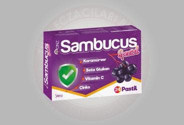 SAMBUCUS SPECIAL PASTIL 24 pastil İlaç Görseli