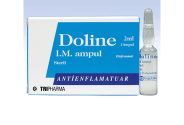 DOLINE- IM 1000 MG 1 AMPUL İlaç Görseli