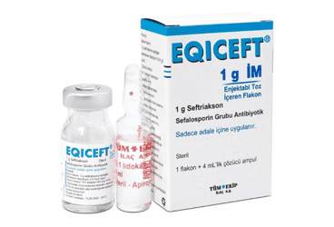 EQICEFT- IM 1000 MG 1 FLAKON İlaç Görseli