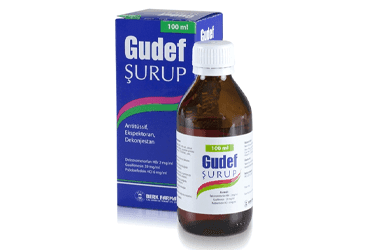 GUDEF SURUP 100 ML İlaç Görseli