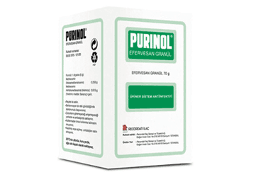 PURINOL 250 MG+ 615 MG/5 G EFERVESAN GRANUL (70 G SISE) İlaç Görseli