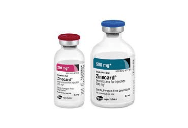 ZINECARD 250 MG 1 VİAL İlaç Görseli