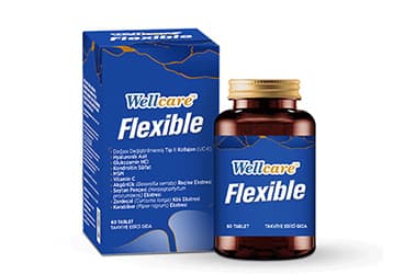 WELLCARE FLEXIBLE TAKVIYE EDICI GIDA 60 tablet İlaç Görseli