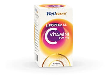 WELLCARE LIPOZOMAL C VITAMINI ICEREN TAKVIYE EDICI GIDA 30 kapsül İlaç Görseli
