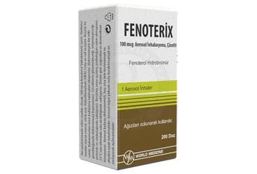 FENOTERIX 100 MCG AEROSOL INHALASYONU, COZELTI (1 TUP) İlaç Görseli