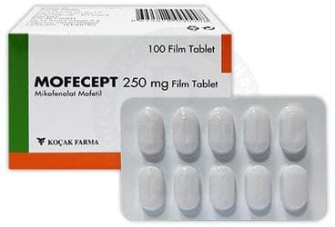 MOFECEPT 250 MG 100 FILM TABLET İlaç Görseli
