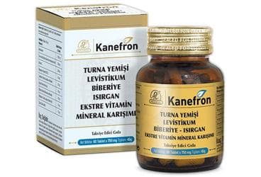 KANEFRON TURNA YEMISI LEVISTIKUM BIBERIYE-ISIRGAN EKSTRE VITAMIN MINERAL KARISIMI TAKVIYE EDICI GIDA 60 tablet İlaç Görseli