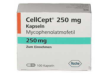 CELLCEPT ROCHE 250 MG 100 KAPSUL İlaç Görseli