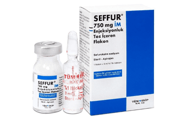 SEFFUR 750 MG IM ENJEKSIYONLUK TOZ ICEREN FLAKON İlaç Görseli