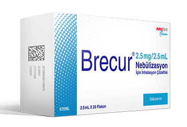 BRECUR 2,5 MG 2,5 ML NEBULIZASYON ICIN INHALASYON COZELTISI (20 FLAKON ) İlaç Görseli