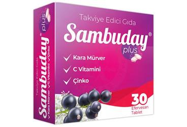SAMBUDAY PLUS EFERVESAN TABLET TAKVIYE EDICI GIDA 30 tablet Takviye Ürün Görseli