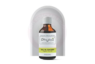PHYTOIL EAU DE ZINGIBER (ZENCEFIL SUYU) 250 ml şişe Takviye Ürün Görseli